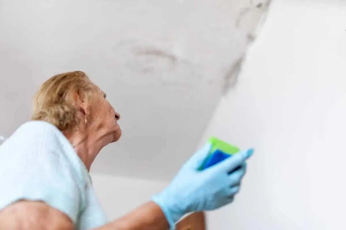 Loodgieter Alert Utrecht verhelpt schade door lekkage aan het plafond